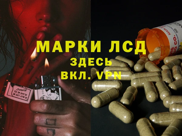 прущий лед Алзамай