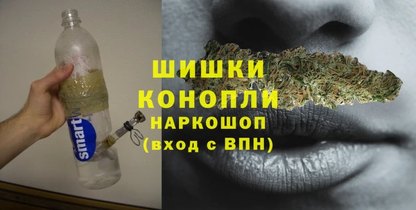 прущий лед Алзамай
